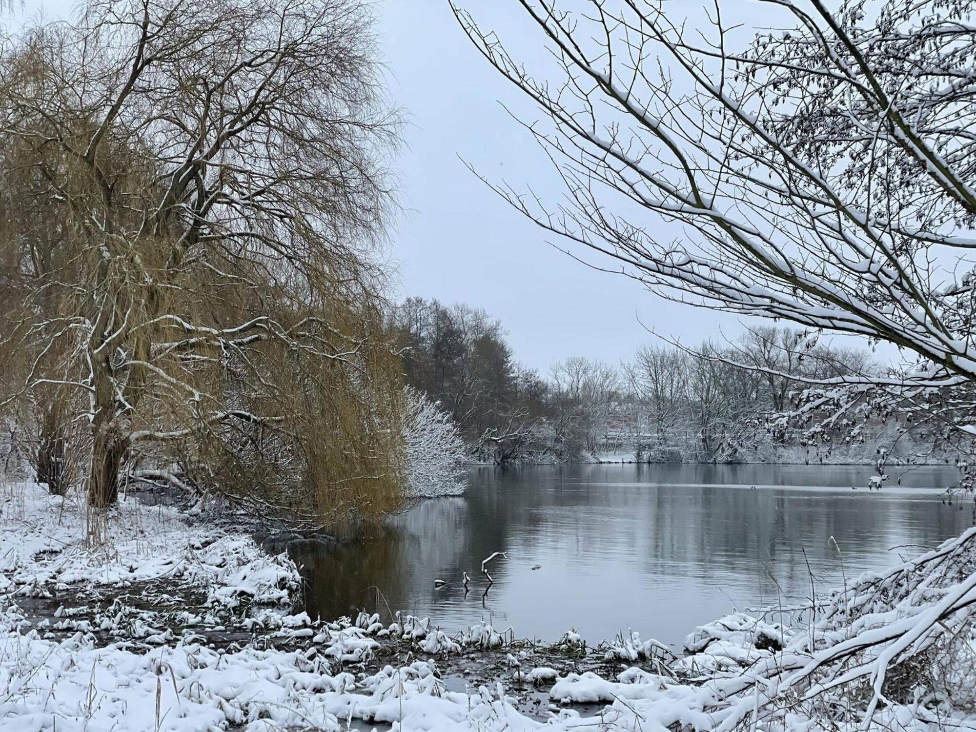 Flat In Eutin On The Kleiner Eutiner See Lake ภายนอก รูปภาพ