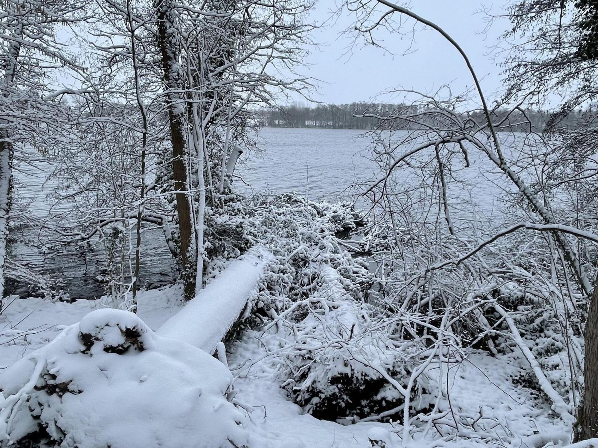 Flat In Eutin On The Kleiner Eutiner See Lake ภายนอก รูปภาพ