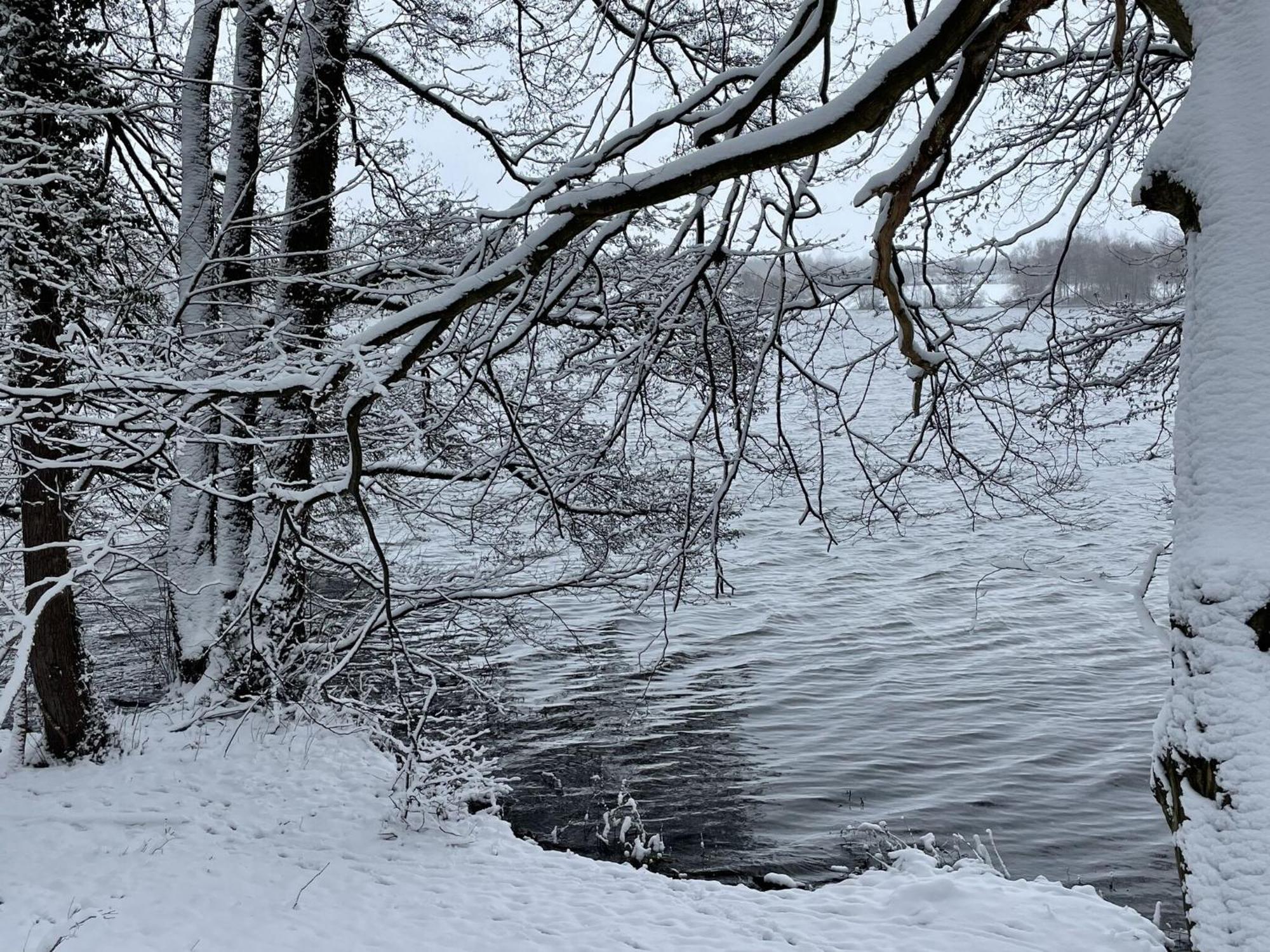 Flat In Eutin On The Kleiner Eutiner See Lake ภายนอก รูปภาพ