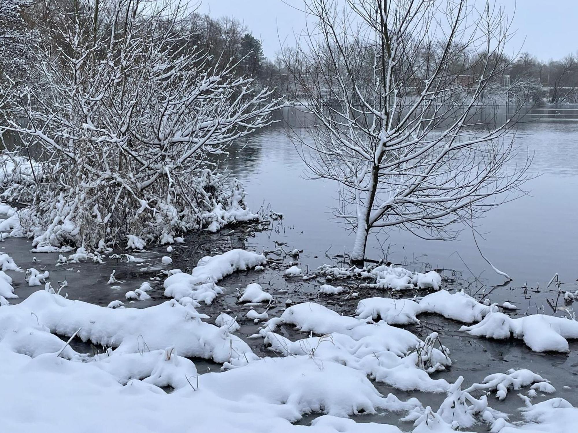 Flat In Eutin On The Kleiner Eutiner See Lake ภายนอก รูปภาพ