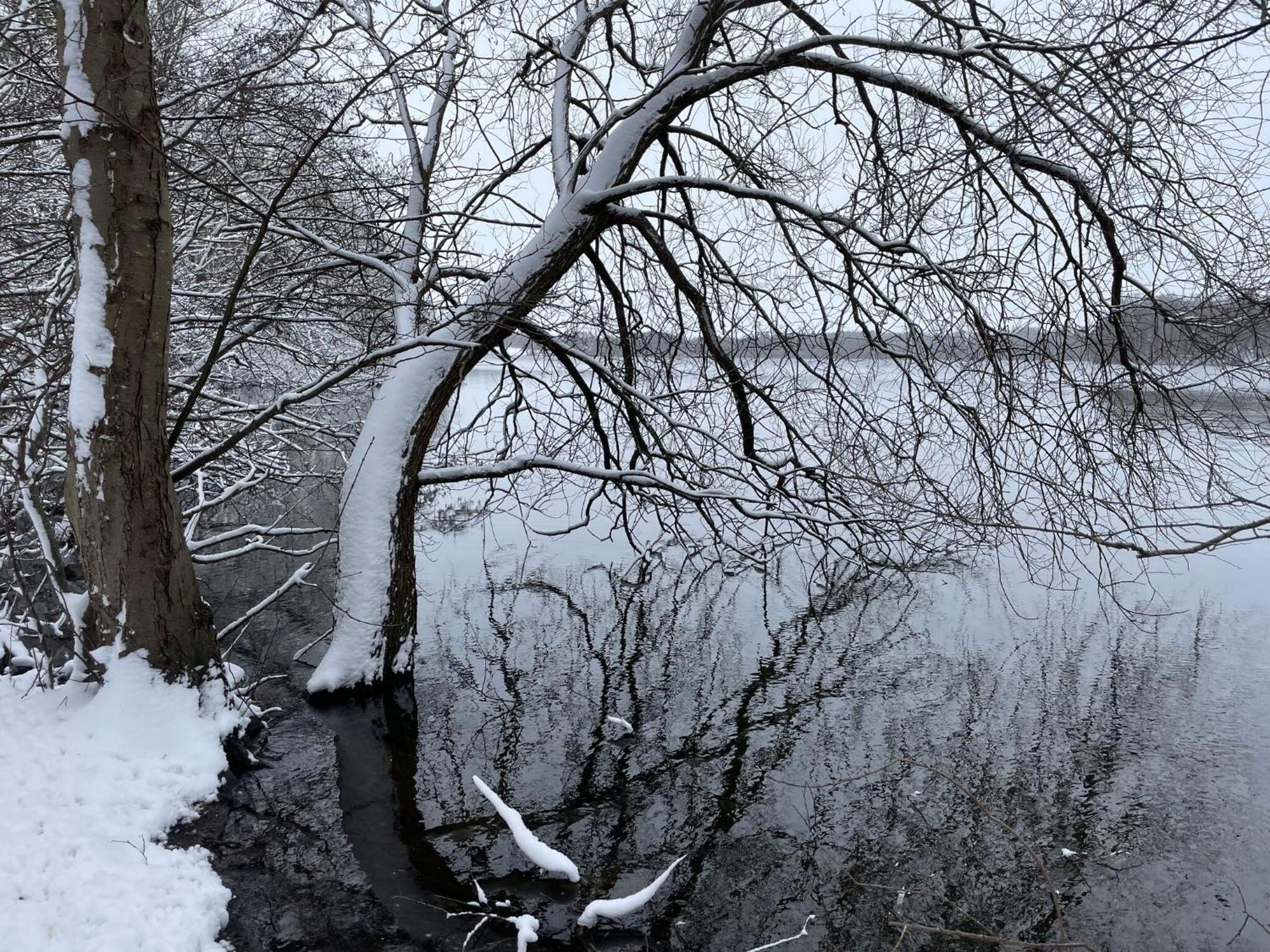 Flat In Eutin On The Kleiner Eutiner See Lake ภายนอก รูปภาพ
